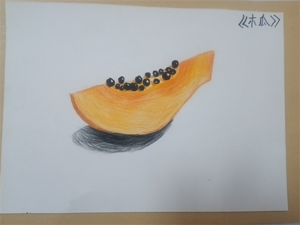 《木瓜》齐云路小学二(1)班杨菁菁 .png 《木瓜》齐云路小学二(1)班杨菁菁 .png